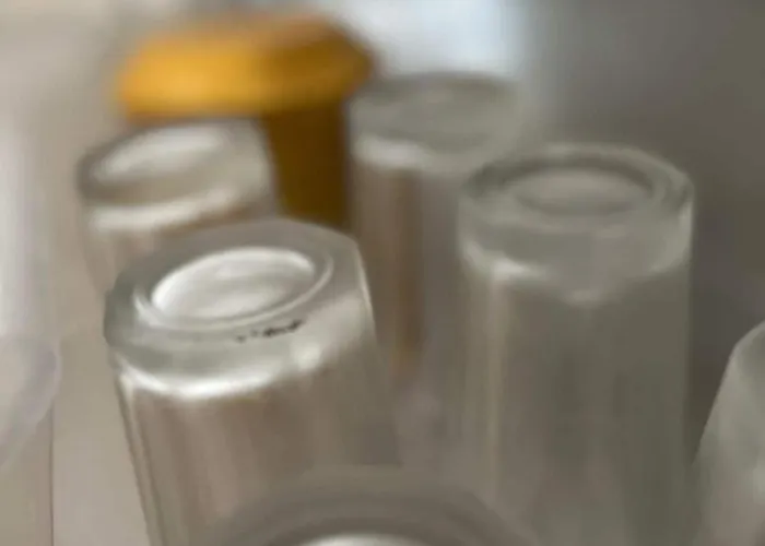 Parostalkinghouse 度假居 *