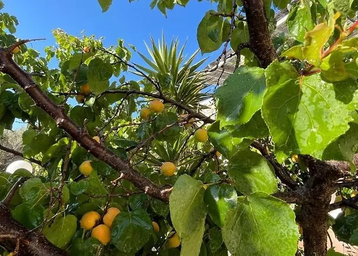 度假居 Parostalkinghouse