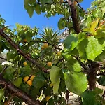 Hébergement de vacances Parostalkinghouse