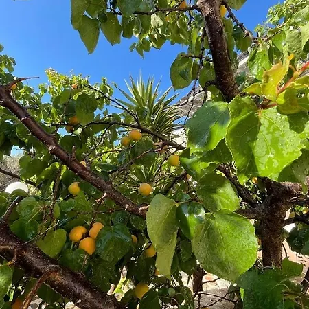 Casa vacanze Parostalkinghouse