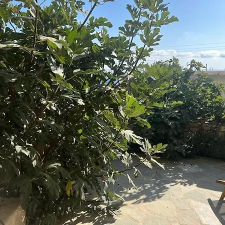 Parostalkinghouse * Piso Livadi