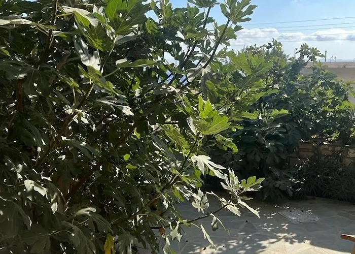 Parostalkinghouse * Piso Livadi